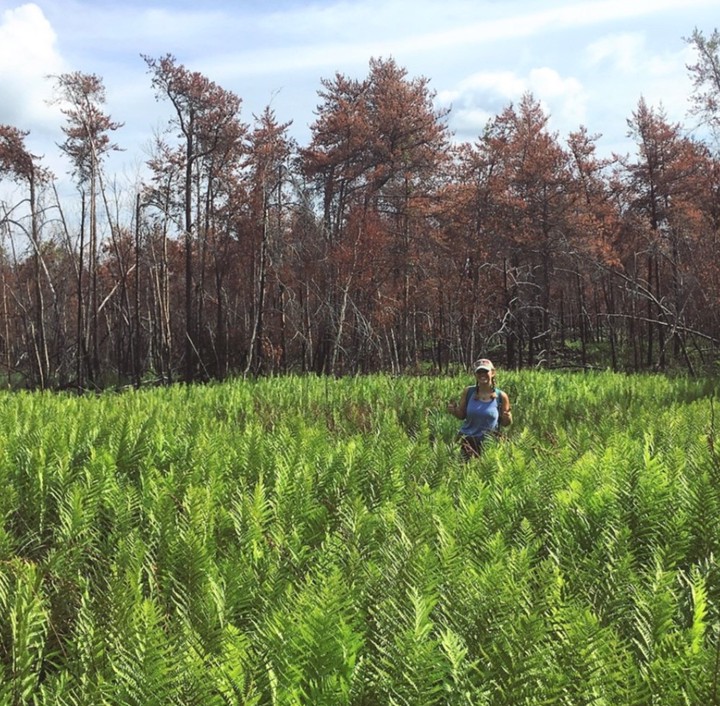 Photo of student standing in a wetland